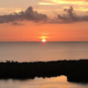 Meet your Posher, Donald